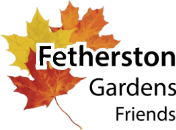 Friends of Fetherston Gardens