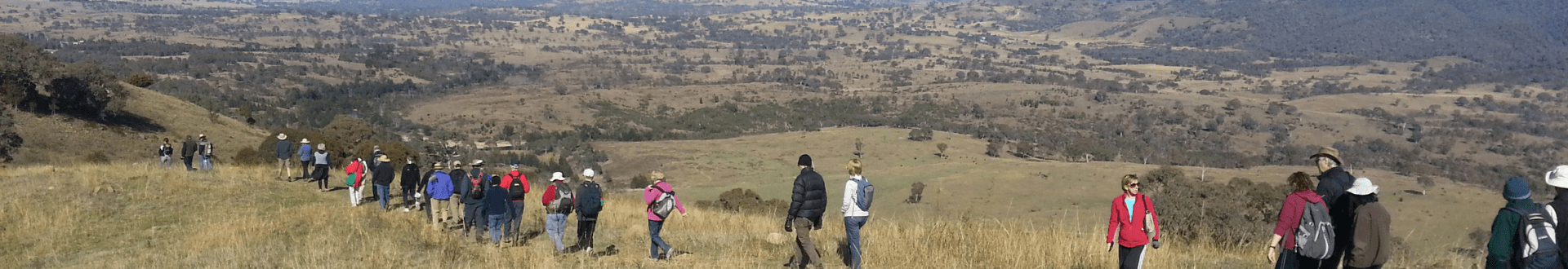 Namadgi Bushfire Recovery: Weed mapping and Grasslands walk