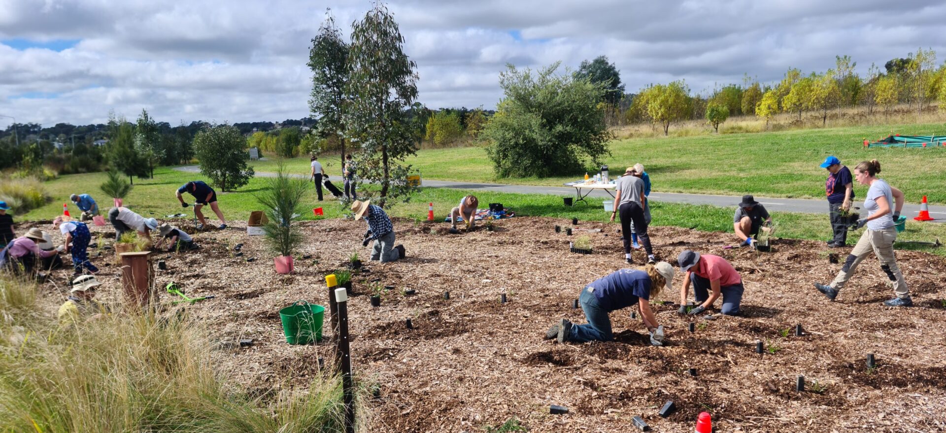 Mt Taylor Parkcare Group – Walk and Weed